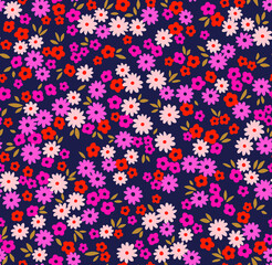 Fototapeta na wymiar Floral pattern. Pretty flowers on violet background. Printing with small colorful daisy flowers. Ditsy print. Seamless vector texture. Spring bouquet. Stock vector.