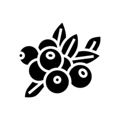 cranberry berry glyph icon vector. cranberry berry sign. isolated contour symbol black illustration