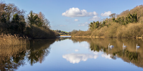 River Quoile Panorama