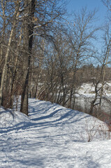 Snowy Hiking Trail in the Winter