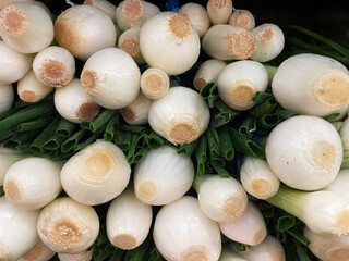 Cambray onion, spring onion or Chinese onion for sale in the market