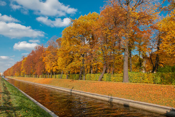 Autumn landscape: yellowed trees in the park on the banks of the canal