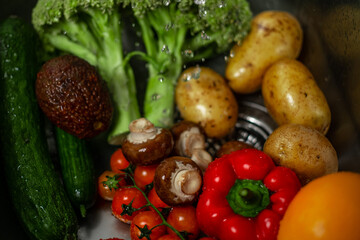 Freshly washed organic homegrown vegetables on the sink. Concept: hygiene, healthy food, vegan, vegetarian lifestyle.