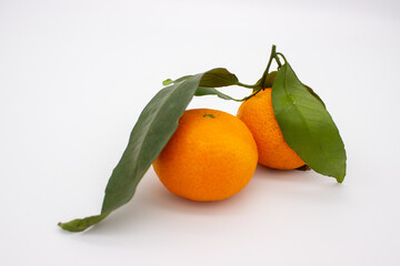 Two ripe tangerines with green leaves