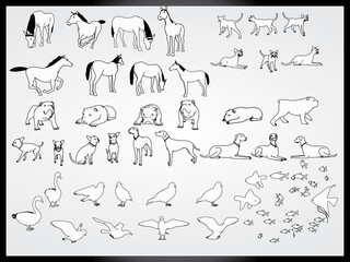 vector set of animals background