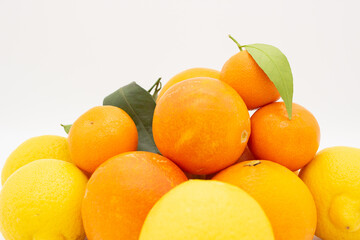 Few oranges, tangerines and lemons on white background.