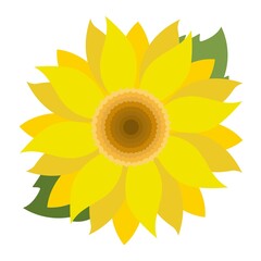 Abstract yellow sunflower vector