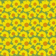 Seamless pattern all yellow sunflower