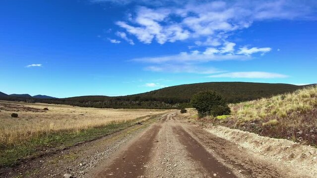 Rural scene. Point of view of a car driving along the dirt road in the meadow. We can see the forest and mountains in the background in a sunny day.