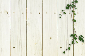 木目背景とグリーン