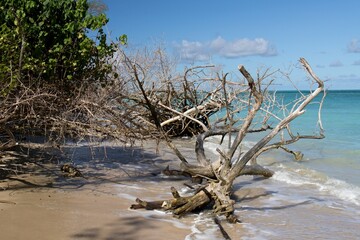 View of Bon Accord Lagoon. Caribbean sea. Trinidad and Tobago.