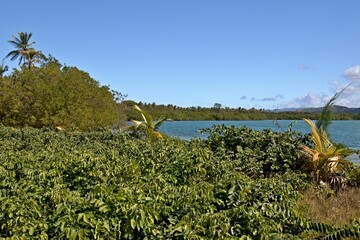 View of Bon Accord Lagoon. Caribbean sea. Trinidad and Tobago.
