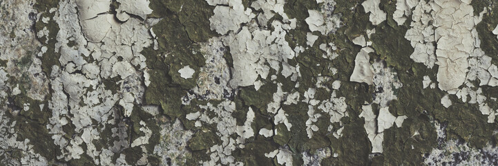 Peeling paint on the wall. Panorama of a concrete wall with old cracked flaking paint. Weathered rough painted surface with patterns of cracks and peeling. Wide panoramic texture for design background