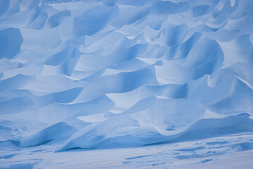 Snow texture. Wind sculpted patterns on snow surface. Wind in the tundra and in the mountains on the surface of the snow sculpts patterns and ridges (sastrugi). Arctic, Polar region. Winter background