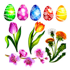 Easter spring set with colored eggs and spring flowers. Isolate on white background.