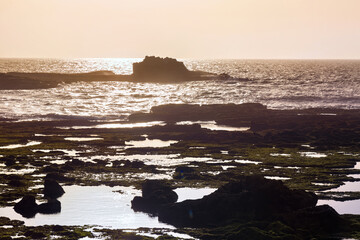 Sunset on the volcanic shore of the Atlantic Ocean in the area of Essaouira in Morocco in the low...