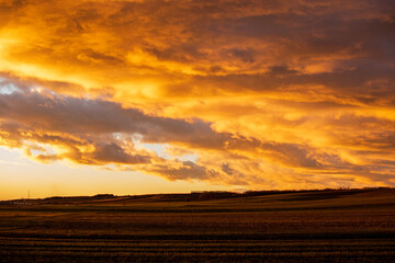 sunset over the field