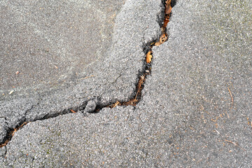 Crack on gray damaged asphalt road close-up. With fallen autumn leaves