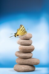 Harmony of Life Concept. Butterfly on the Pebble Stone Stack. Metaphor of Balancing Nature and Technology.