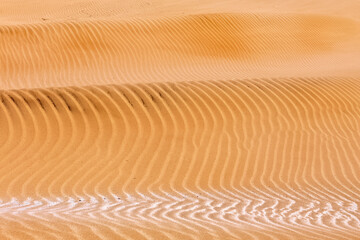 View of the sand from the African desert.