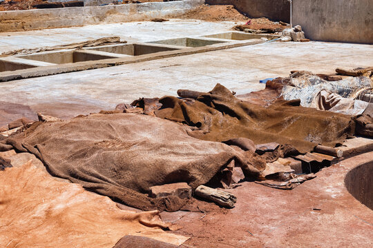 Drying of the animal skins in the tannery in Marrakech on a sunny day. Morocco.