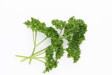 Bio parsley leaf on white background.