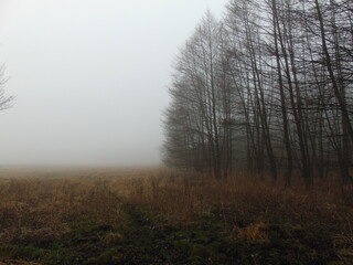 Opustoszały krajobraz we mgle pustka