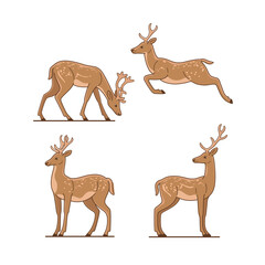 Cartoon deer - cute character for children. Vector illustration in cartoon style. Animal in various poses.