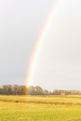 A very colourful rainbow arched over the Perceton fields against a gray sky just as the  heavy rain began
