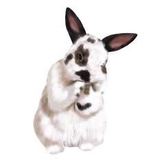 watercolor realistic tricolor rabbit. Illustration of a bunny. The hare washes.