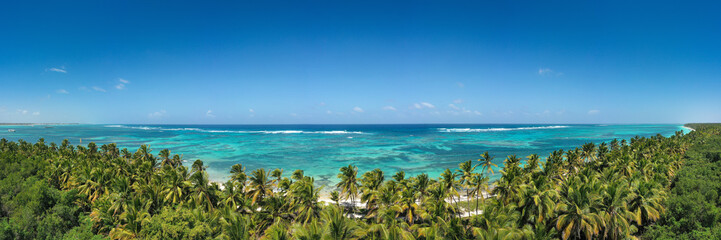 Wild tropical seashore with coconut palm trees and turquoise caribbean sea. Travel destination. Aerial panorama view - obrazy, fototapety, plakaty