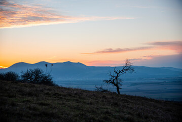 Landscape at the sunset