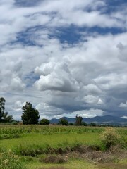 Obraz premium clouds over the field