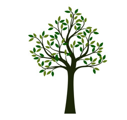 Colour Tree. Vector outline Illustration.