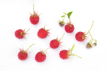 a variety of raspberries form, ripeness, leaves scattered on the surface on a white background - summer backdrop