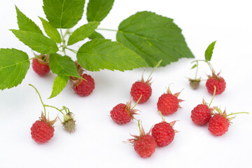 raspberry branch thrown on the surface of white color - with leaves, clusters of ripe berries