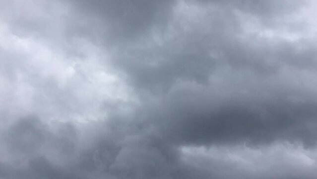 Gray clouds move quickly across the sky. The whole sky is covered with blue-gray cumulus clouds, from which it can rain at any moment. Clouds move quickly on the go, changing shape and size. 