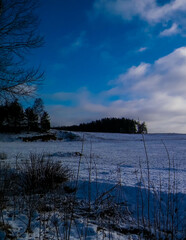 Winter. Snow on meadows of Kashubian region of northern Poland.