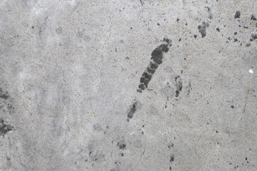 Cement Wall abstract grey for background. gray Concrete texture.