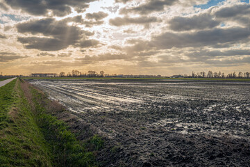 Atmospheric image of sunbeams through the clouds above a soggy field in a Dutch polder in the...