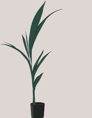 Fototapeta premium flower in a pot with green leaves