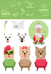 text and illustration on the theme of a grooming salon for dogs