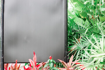 Red flower buds and tropical greenery with a gray billboard for text and advertising. Copy space in a tropical garden