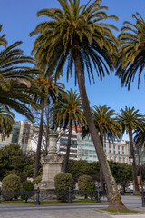 Obraz na płótnie Canvas Tall palm trees in the park within the city