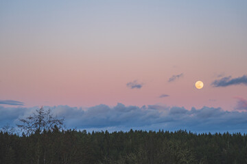 Dramatic Evening sky with yellow moon rising over forest country scene 