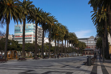Fototapeta na wymiar City Park, square with palm trees