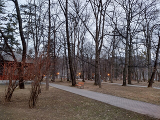 March evening in the Municipal Park of Baia Mare city, Romania