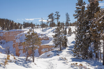 Obraz premium Scenic Snow Covered Landscape in Bryce Canyon National Park Utah in Winter