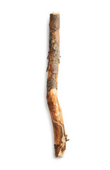 Fototapeta premium Tree branch isolated on white background. Wooden stick