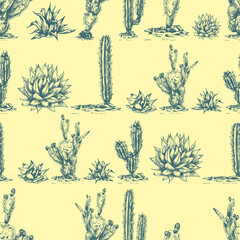 29_blue agave graphic illustration, set of different cacti, blue agave, tequila main ingredient, seamless pattern, desert cactus drawing, agave, side view